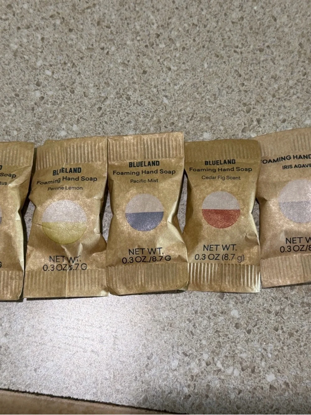 BlueLand Foaming Hand Soap Tablets and Pump - Picture 4 of 7